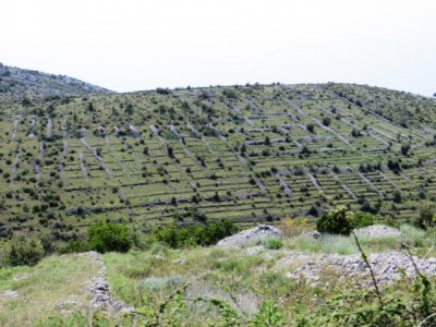 Dalmacija 27.04.-01.05.2012.
