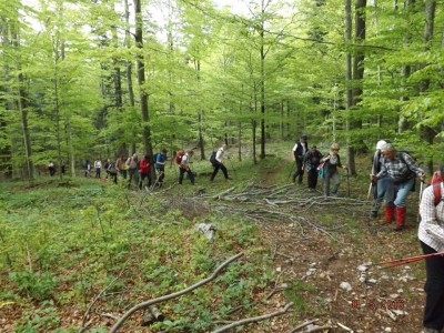 Memorijal Andrija Petrić 8.5.2016.