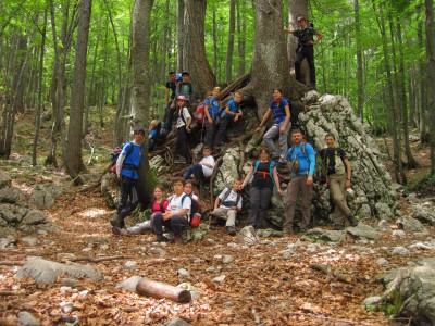 16.6.2018. Logarska dolina
