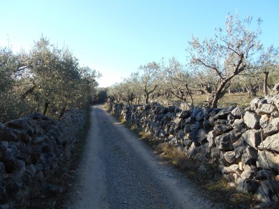 11.1.2020. Putevima Dobrinjštine