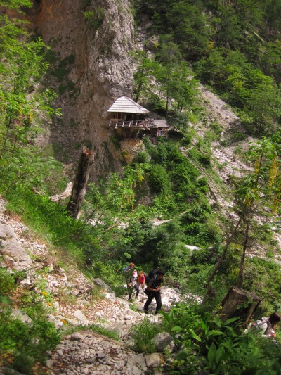16.6.2018. Logarska dolina