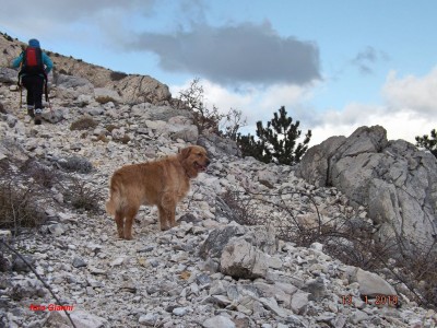 13.1.2018. Batomalj - Bag - Baška