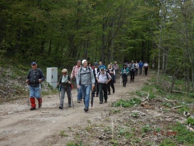 Memorijal Andrija Petrić 8.5.2016.