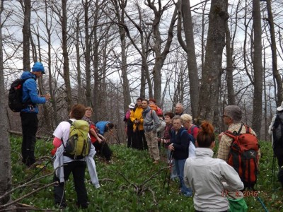 Veliki Drgomalj 17.4.2016.