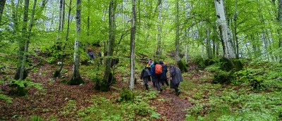 14.5.2023. Memorijal Andrije Petriča