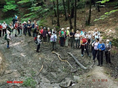 13.5.2018. 43. Memorijal 