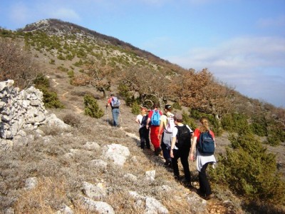 Cres (Sis, Beli) 17.03.2012.