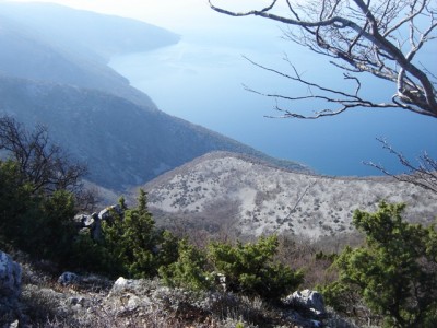 Cres (Sis, Beli) 17.03.2012.