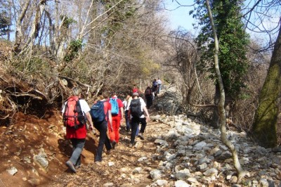 Cres (Sis, Beli) 17.03.2012.