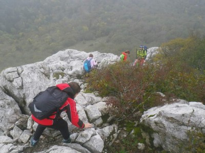 22.10.2023. Medviđak - Kobiljak