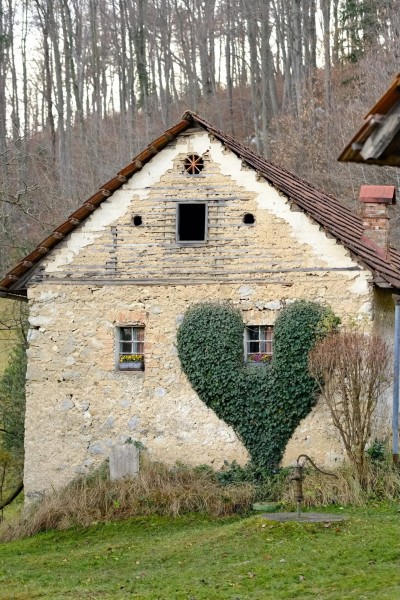 Gora Oljka i Mozirski gaj (SLO) 13.12.2025.