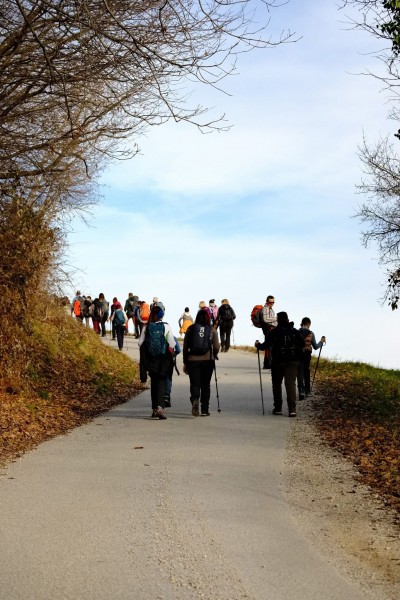 Gora Oljka i Mozirski gaj (SLO) 13.12.2025.