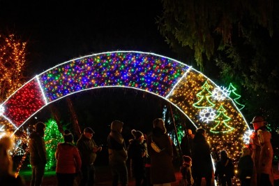 Gora Oljka i Mozirski gaj (SLO) 13.12.2025.