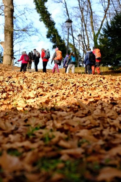 Gora Oljka i Mozirski gaj (SLO) 13.12.2025.