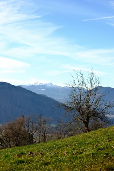 Gora Oljka i Mozirski gaj (SLO) 13.12.2025.