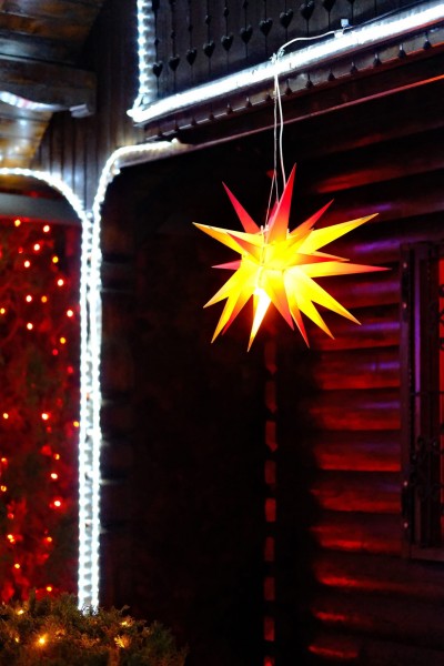 Gora Oljka i Mozirski gaj (SLO) 13.12.2025.