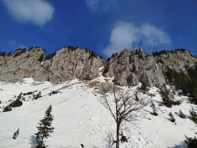 Ratitovec 01.03.2026.