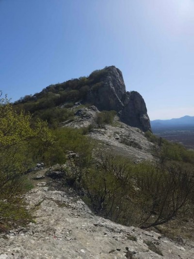 Zir 12.04.2026.