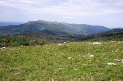 48. Memorijal Andrija Petrič (Gomila) 10.05.2026.