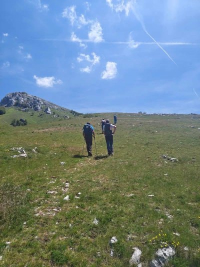 Poštak 24.05.2026.