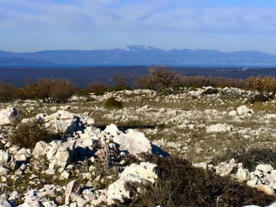Vrbnik - Hlam 17.1.2016.