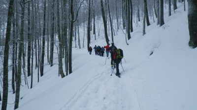 Snežnik 6.3.2016.