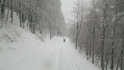 Snežnik 6.3.2016.